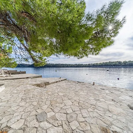 Gora Seaview - 1 Appartement